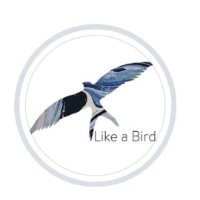 Like a Bird Migration Services