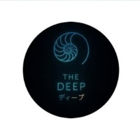 THE DEEP